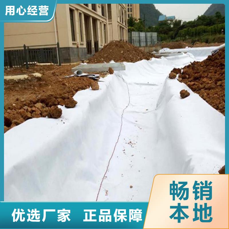 土工布反滤土工布实地大厂