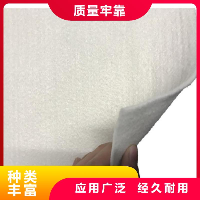 【土工布】膨润土防水毯货到付款