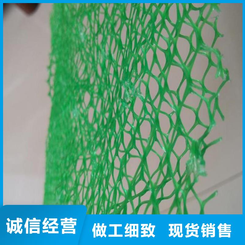 三维植被网软式透水管诚信经营现货现发