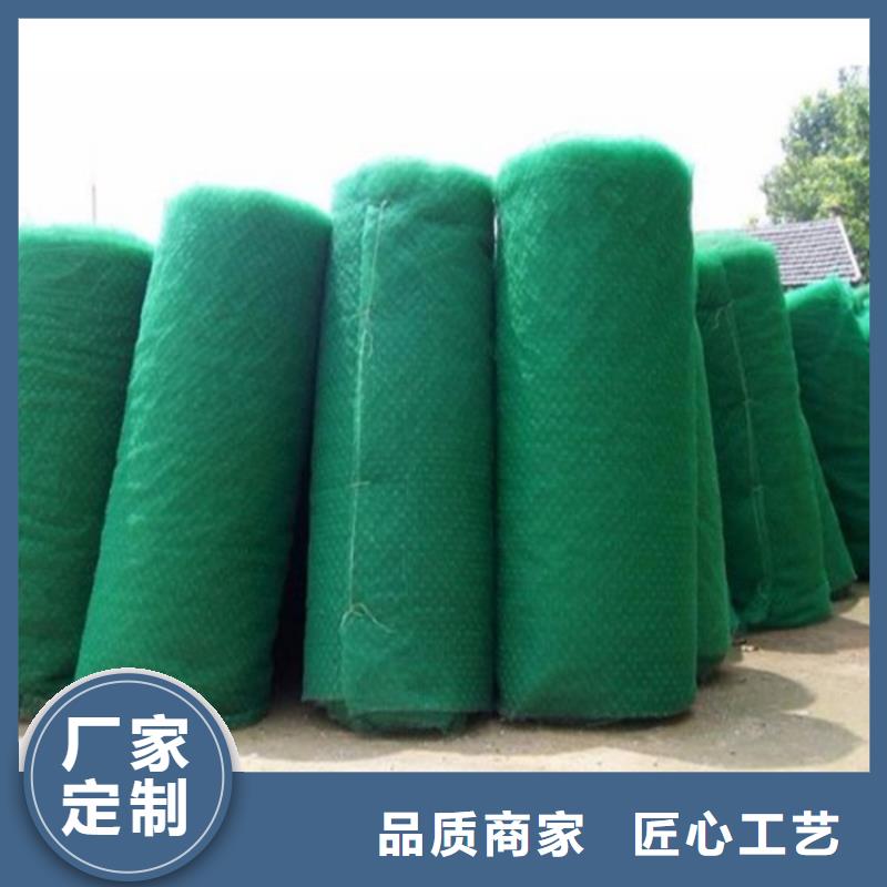 三维植被网网格布优选厂家