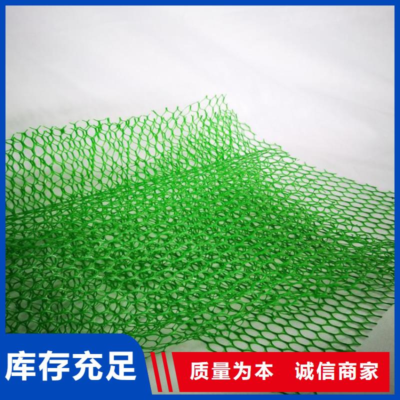 三维植被网双向塑料土工格栅省心又省钱