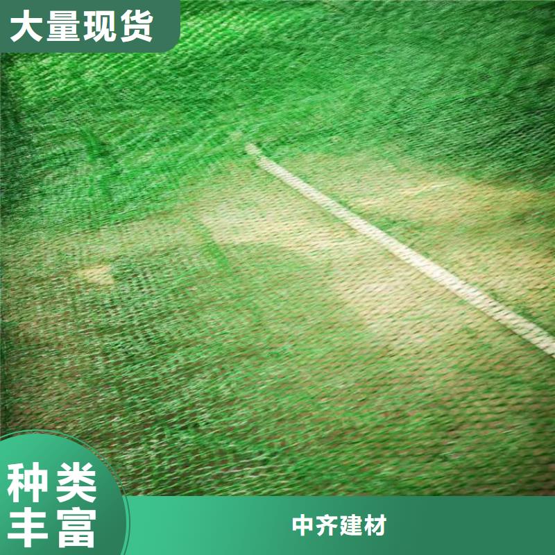 三维植被网_玻璃纤维土工格栅厂家直销省心省钱