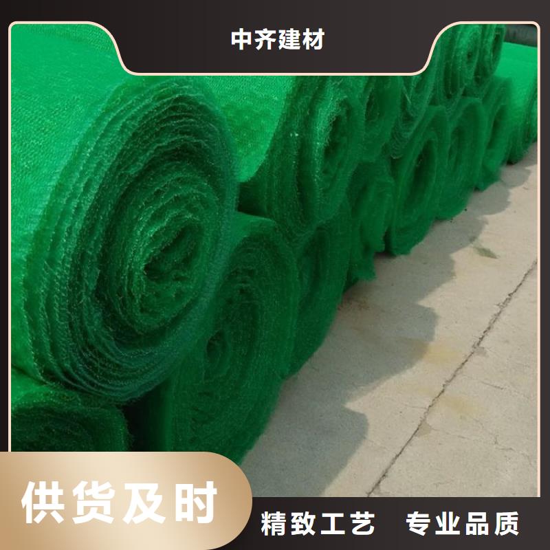 三维植被网_玻璃纤维土工格栅厂家直销省心省钱