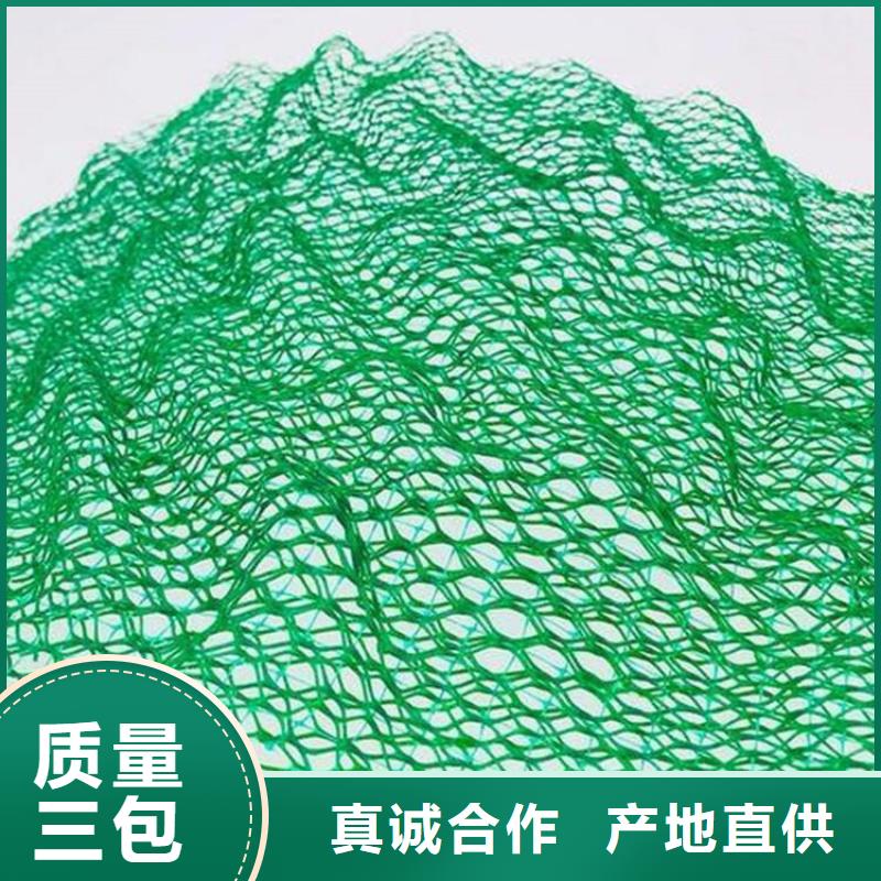 三维植被网软式透水管诚信经营现货现发
