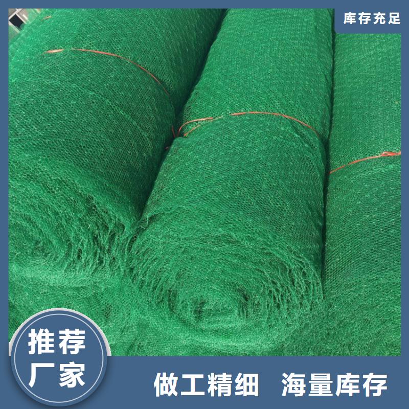 三维植被网_玻璃纤维土工格栅厂家直销省心省钱