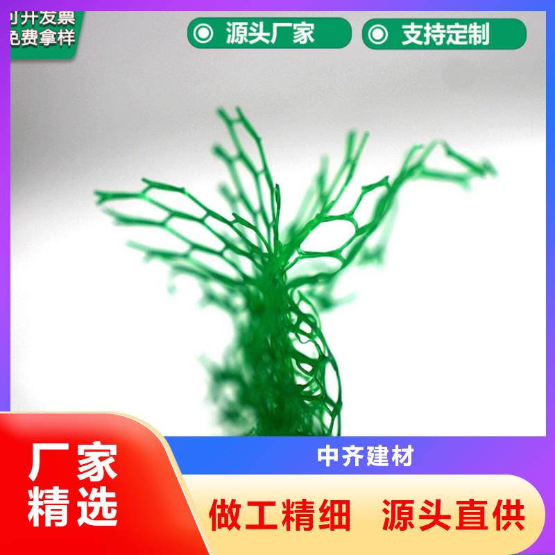 三维植被网_玻璃纤维土工格栅厂家直销省心省钱
