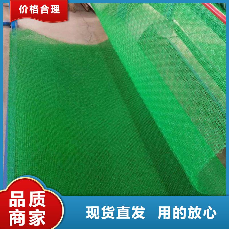 三维植被网软式透水管诚信经营现货现发