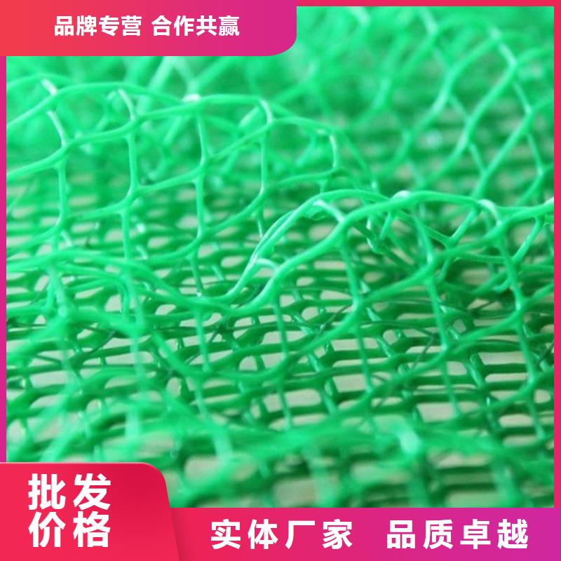 三维植被网,加筋三维固土网垫货品齐全