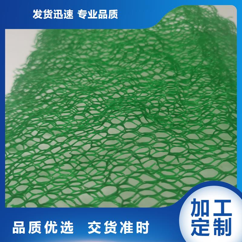 三维植被网_玻璃纤维土工格栅厂家直销省心省钱
