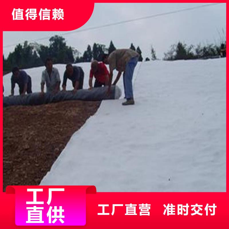 膨润土防水毯土工格栅价格公道合理