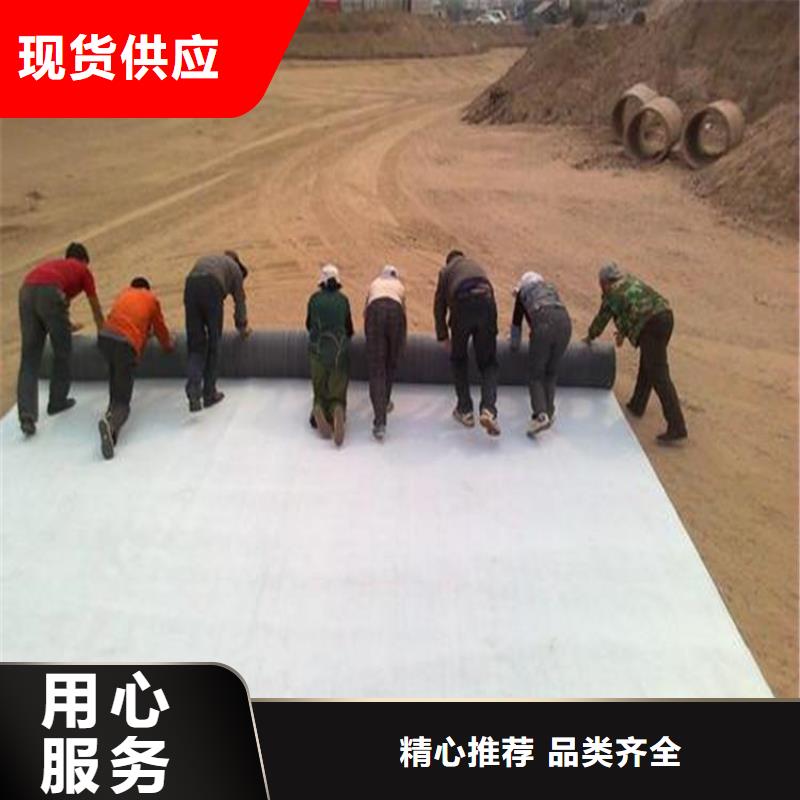膨润土防水毯土工布品类齐全