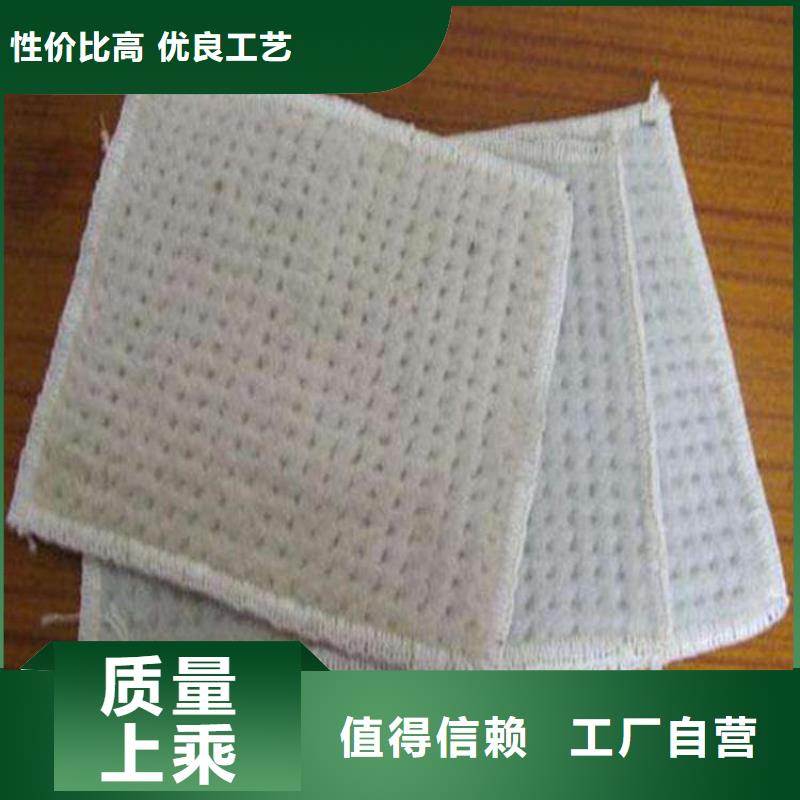 膨润土防水毯土工布品类齐全