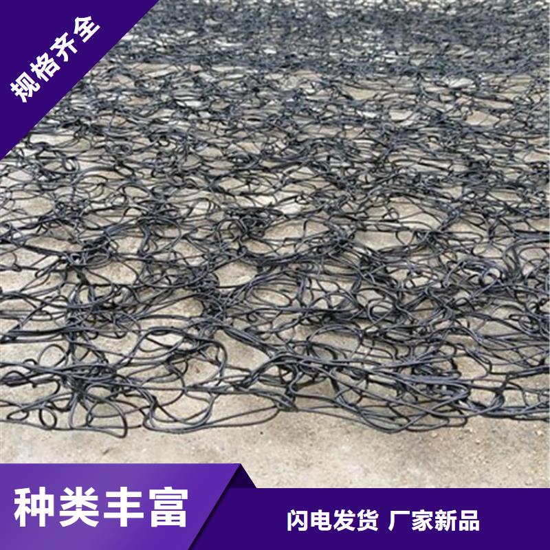 通风降噪丝网玻璃纤维土工格栅生产经验丰富