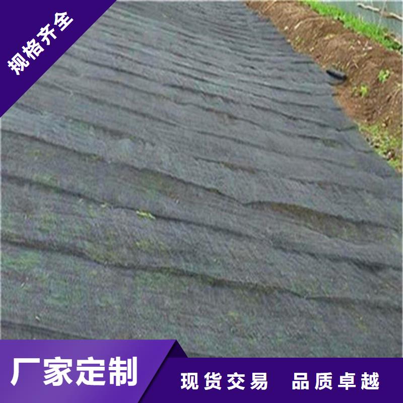 水土保护毯防水板价格实惠工厂直供
