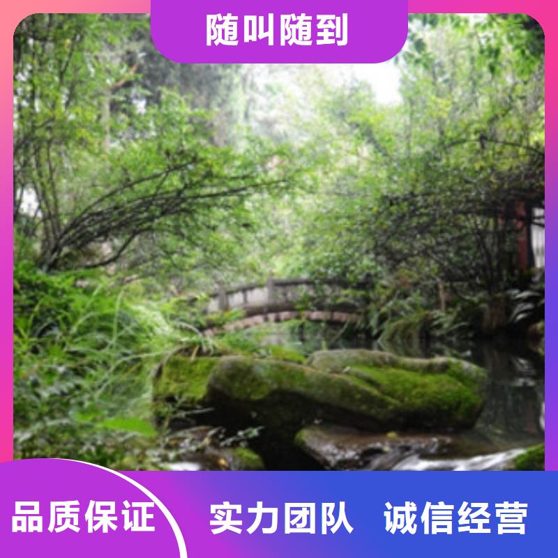 工程预算标书制作技术好
