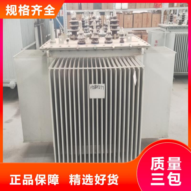 油浸式变压器隔离变压器380V质量检测