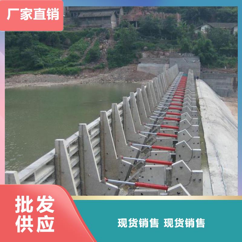 翻板闸门用心做品质