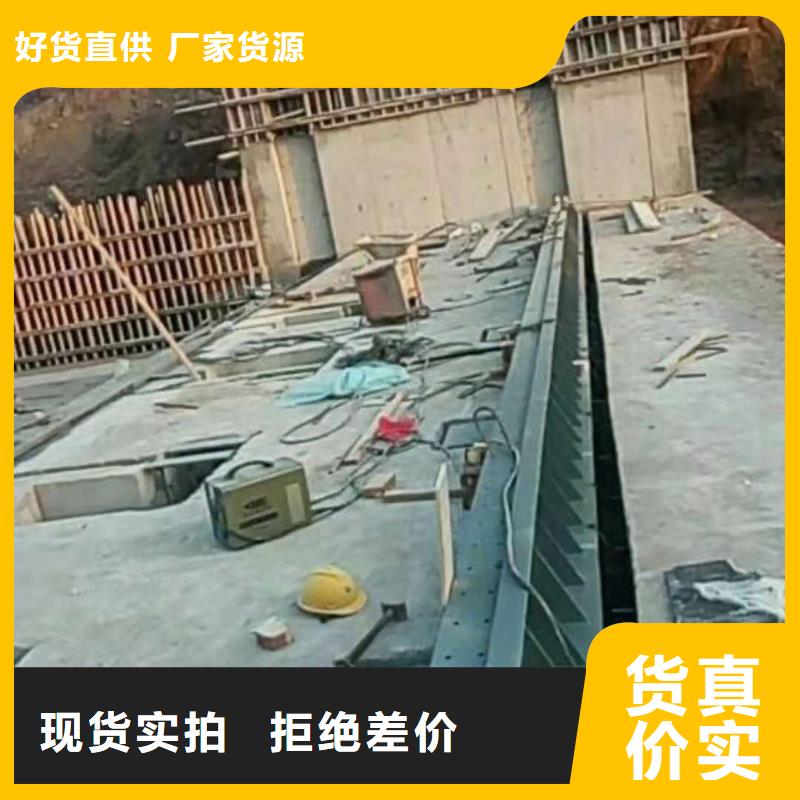 翻板闸门专注质量