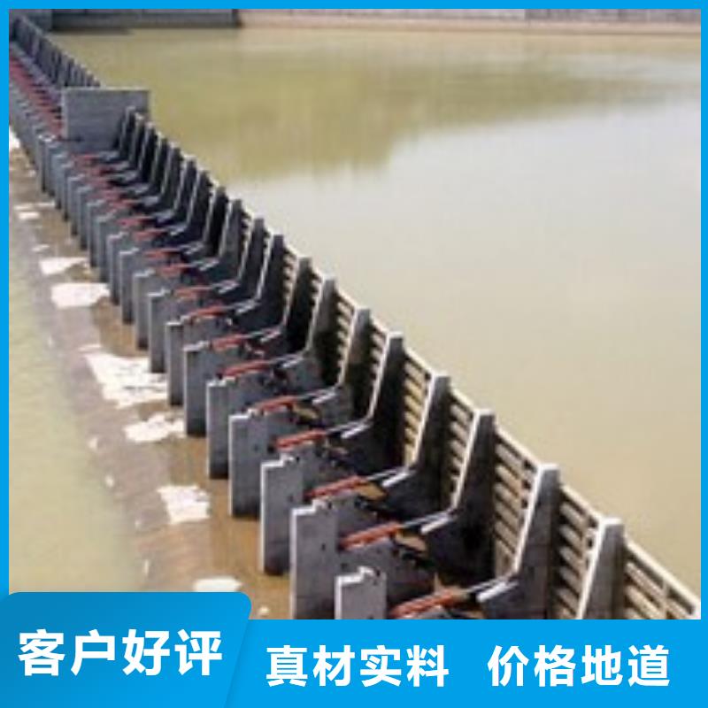 【翻板闸门水泵闸门诚信商家】