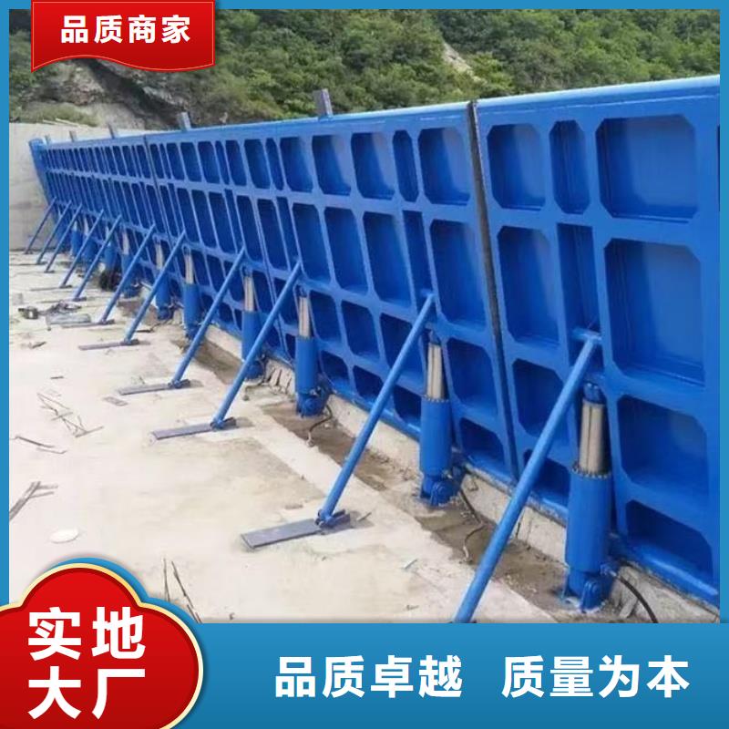 翻板闸门来图加工定制