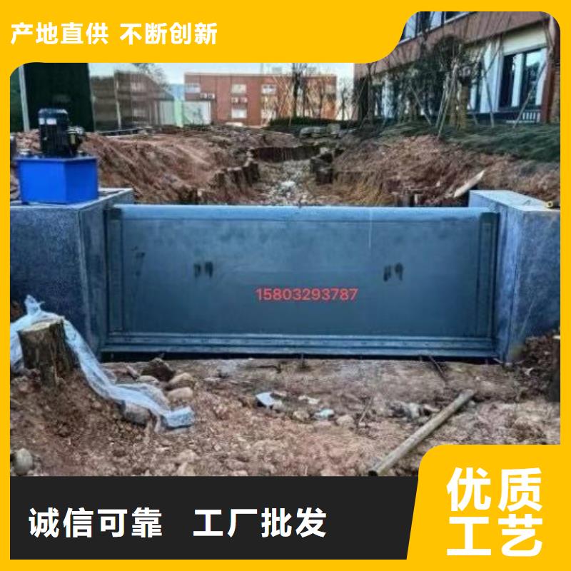  翻板闸门厂家直营