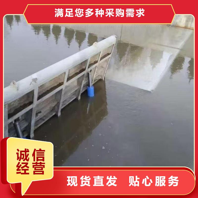 翻板闸门大推力电液推杆随心所欲定制