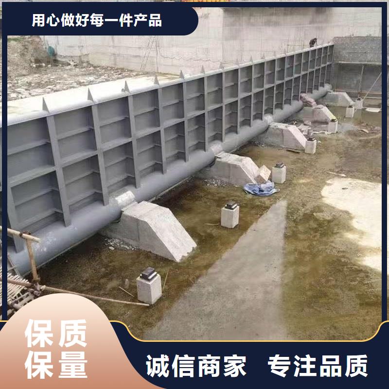 翻板闸门实力优品