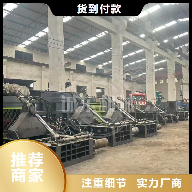 打包机废纸撕裂机品质服务