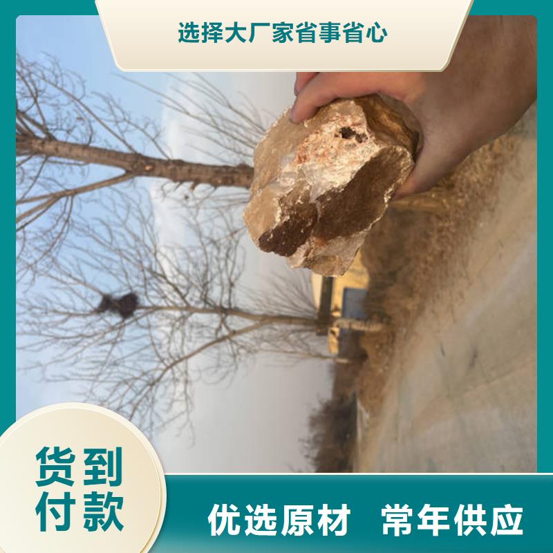 【石英砂粘土生物陶粒滤料产地直供】