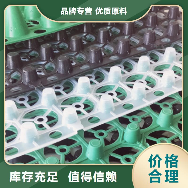 排水板 植草格极速发货