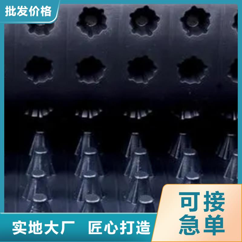 排水板,防护虹吸排水收集系统质优价廉