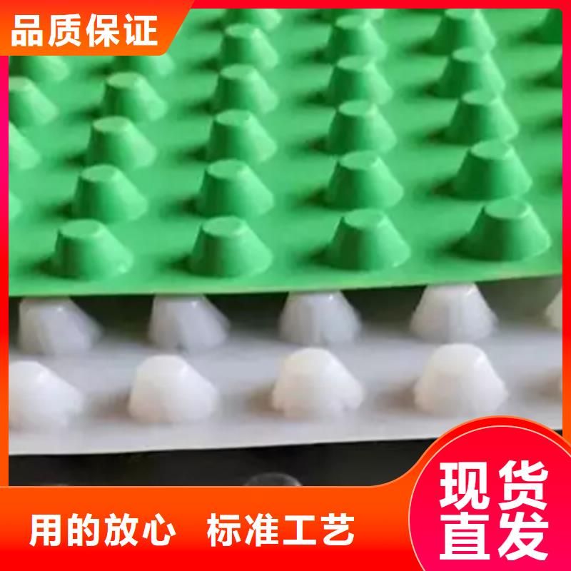 排水板专注品质