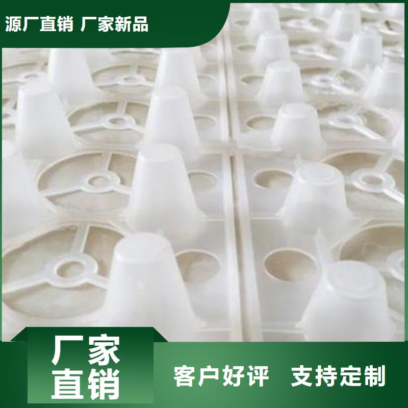  排水板工厂自营