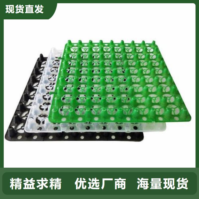 排水板【水泥化粪池】大品牌值得信赖