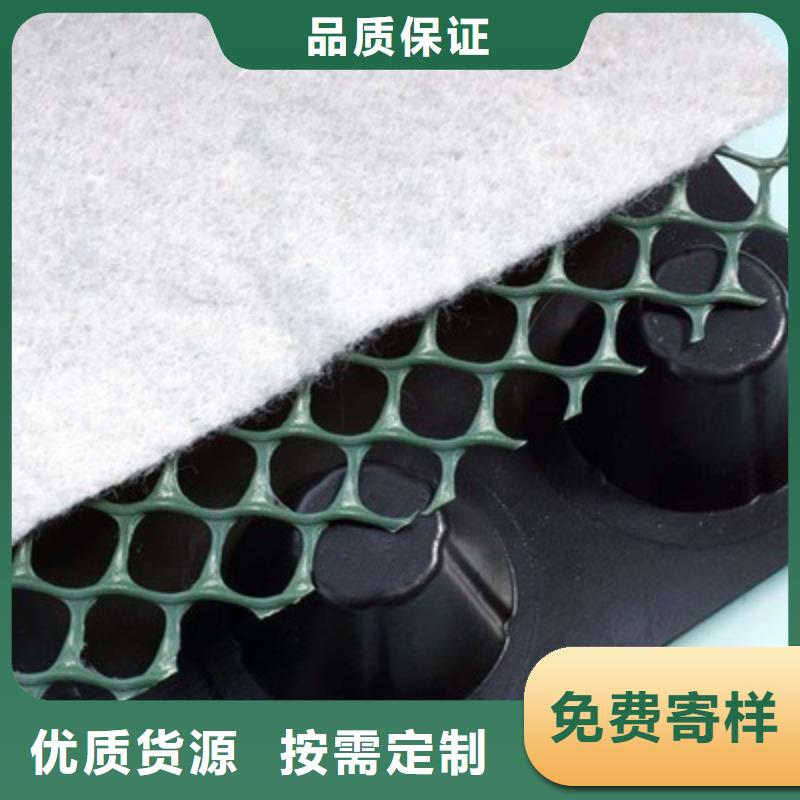 排水板,防护虹吸排水收集系统质优价廉