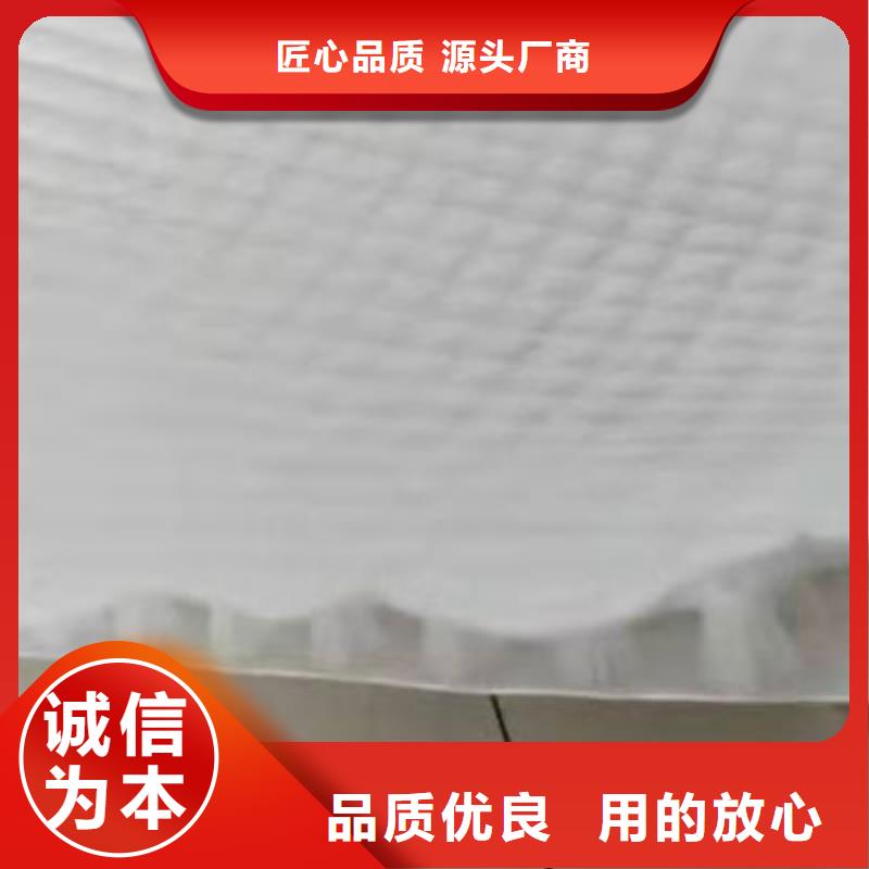 排水板,防护虹吸排水收集系统质优价廉