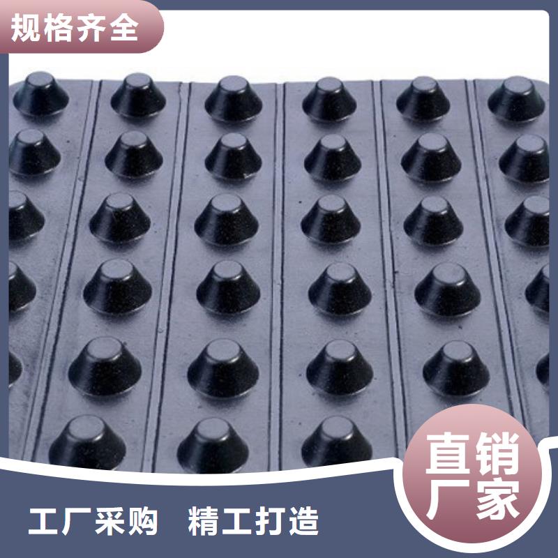 排水板【水泥化粪池】大品牌值得信赖