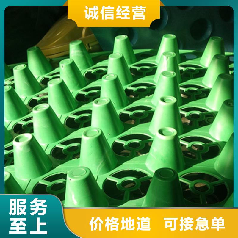 虹吸排水-排水板大厂生产品质
