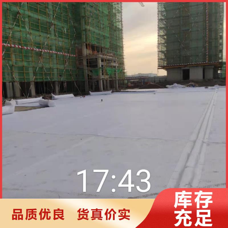 虹吸排水-排水板大厂生产品质