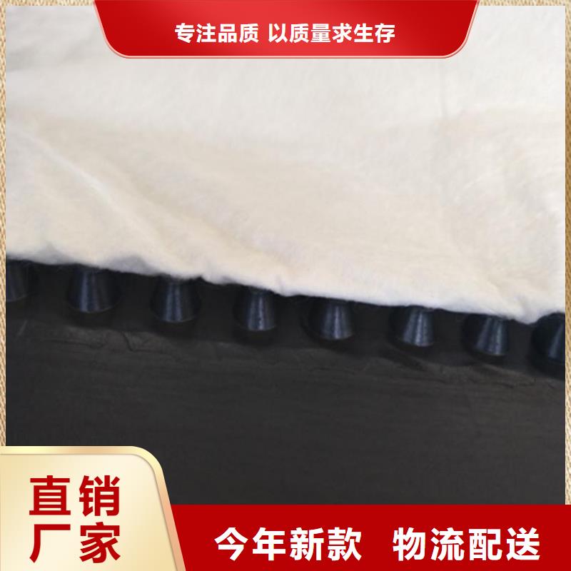 虹吸排水- 植草格精选厂家好货