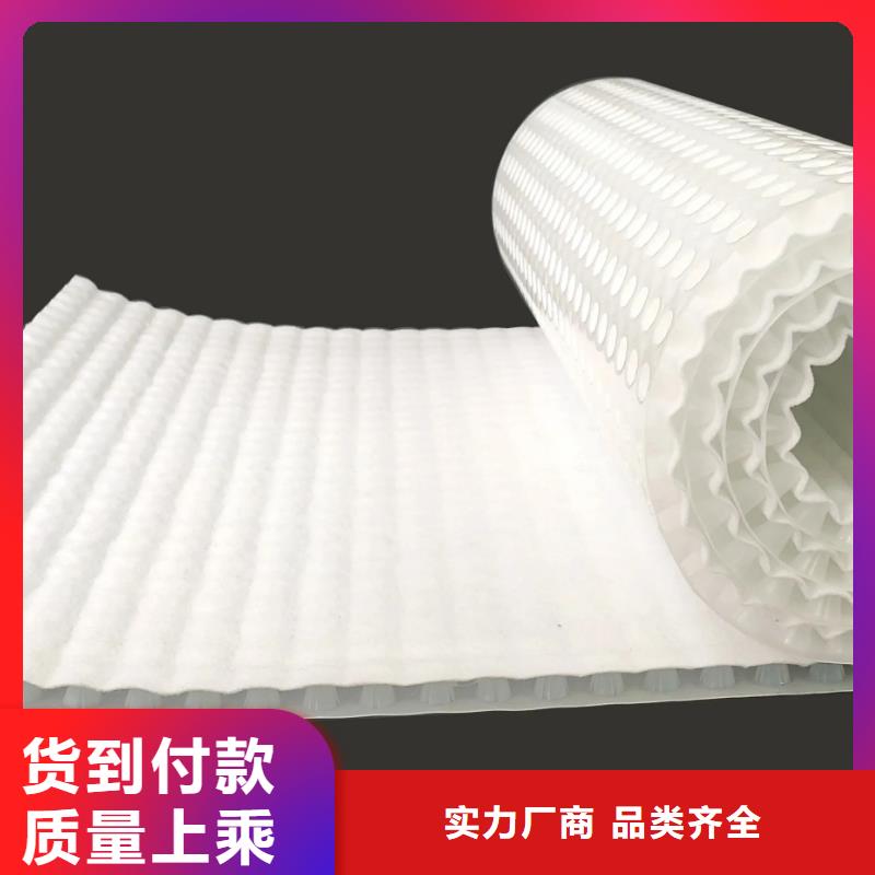 虹吸排水-排水板大厂生产品质