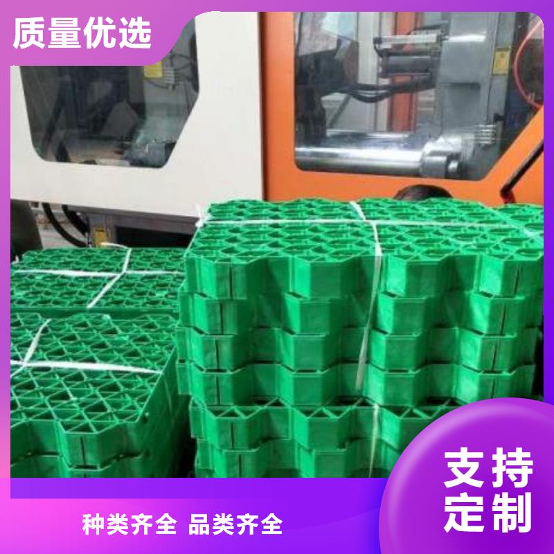 植草格水泥化粪池好厂家有担当