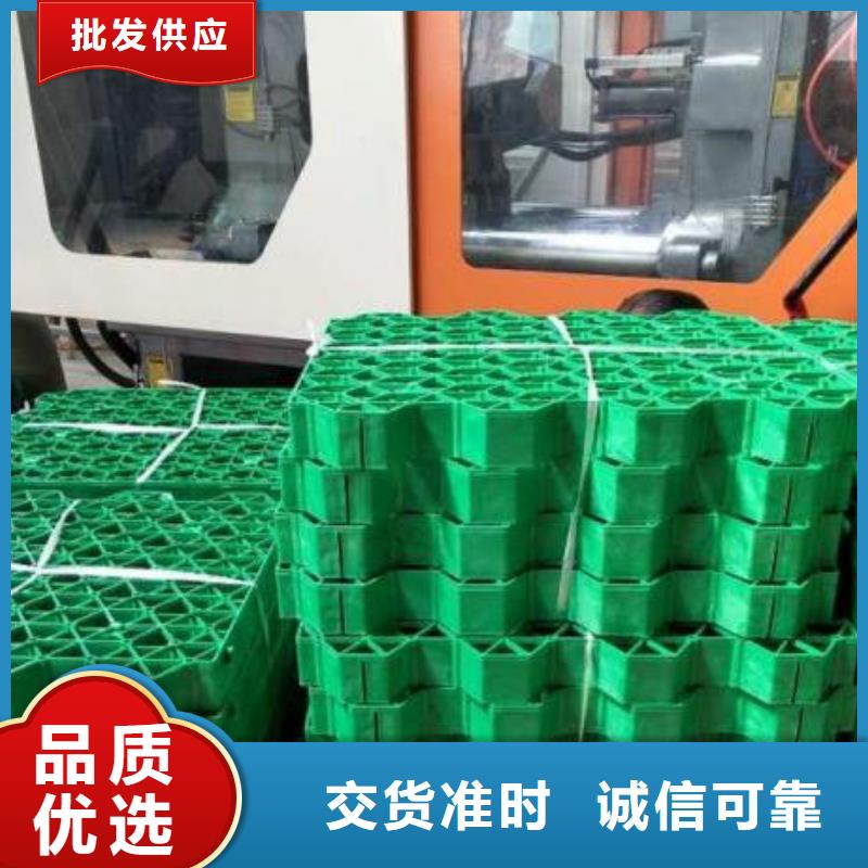 植草格植草格当地货源