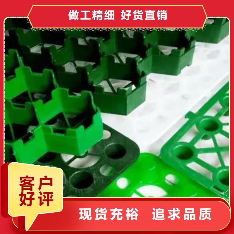 植草格,化粪池水泥用途广泛