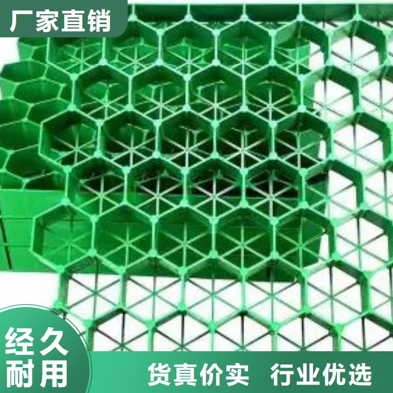 植草格排水板商家直供