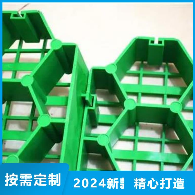 植草格排水板商家直供