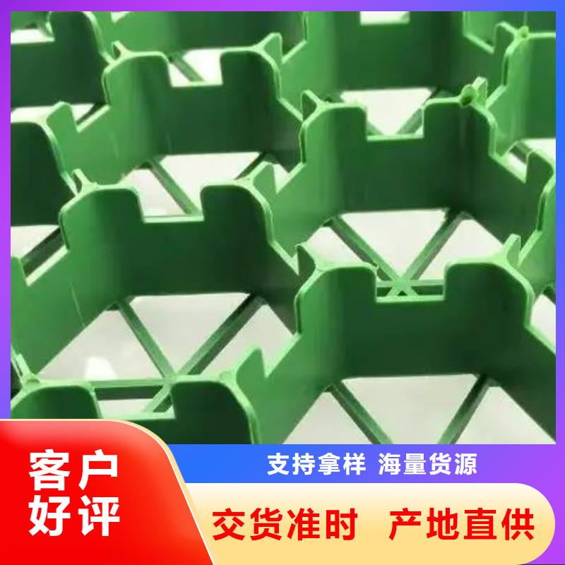 植草格_防护虹吸排水收集系统超产品在细节