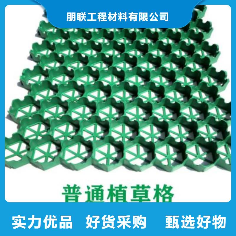 植草格水泥化粪池48小时发货