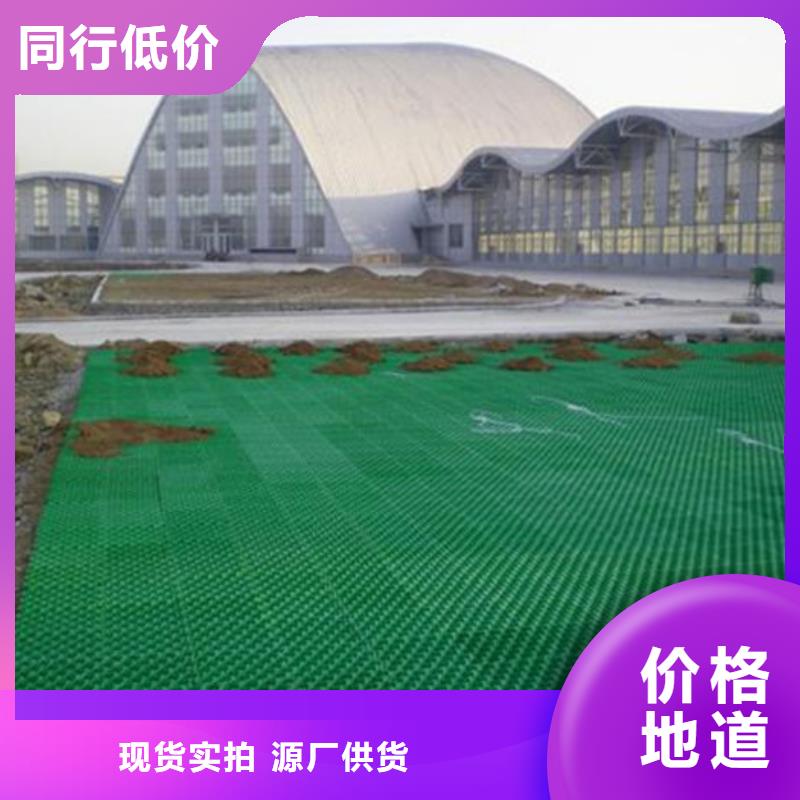 植草格排水板商家直供