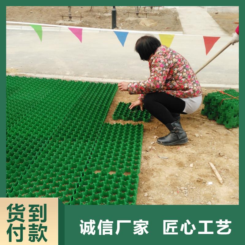 植草格防护虹吸排水收集系统欢迎新老客户垂询